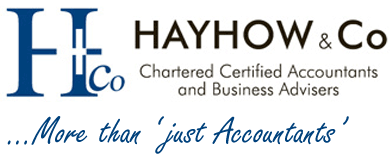 Hayhow & Co logo